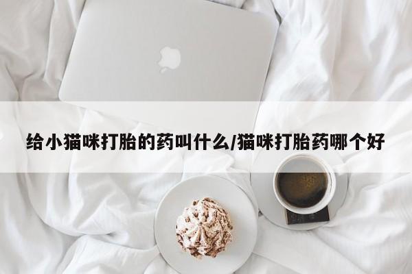 打胎药专卖微信给小猫咪打胎的药叫什么/猫咪打胎药哪个好