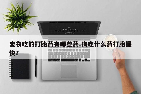 打胎药专卖微信宠物吃的打胎药有哪些药.狗吃什么药打胎最快？