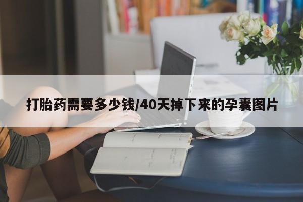 打胎药专卖微信打胎药需要多少钱/40天掉下来的孕囊图片